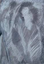 Drawing 4 &nbsp;&nbsp;&nbsp;23"x16.5" &nbsp;&nbsp;charcoal, conte, graphite on paper 